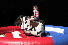 Rodeo Bull Hire Kerry